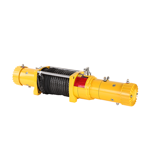 Double Motor Winch